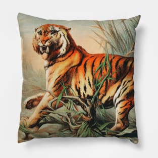 19th century Royal Bengal tiger chromolithograph Pillow