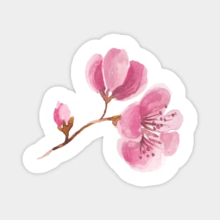 Pink  Cherry Blossom watercolour Magnet