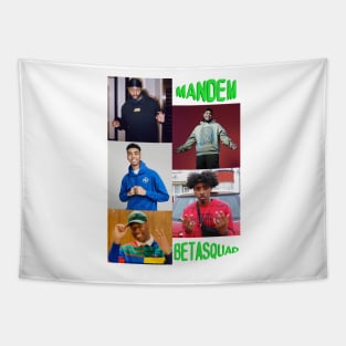 BETASQUAD PACK Tapestry