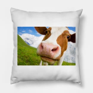 Swiss cow with big nose, wide angle shot Pillow