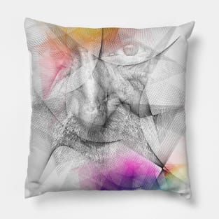 Transzendent Pillow