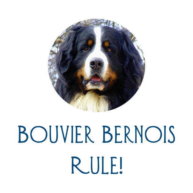 Bouvier Bernois Rule! by Naves