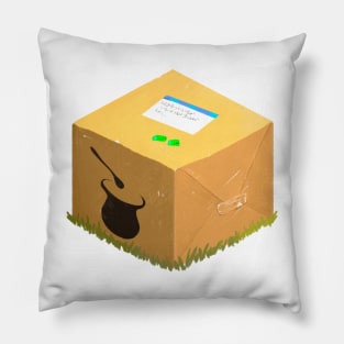 Mysterious Package. The MagiCo Magical Starter Kit Pillow