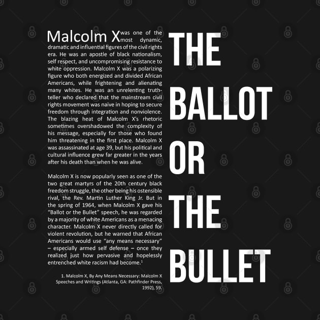 The Ballot or The Bullet by ZUNAIRA