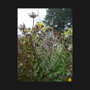 Web Droplets T-Shirt