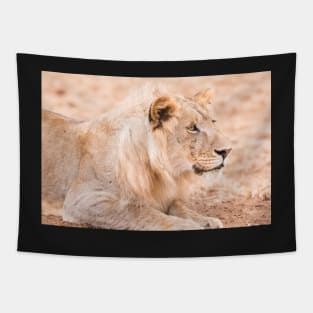 Serengeti Lion #2 Tapestry