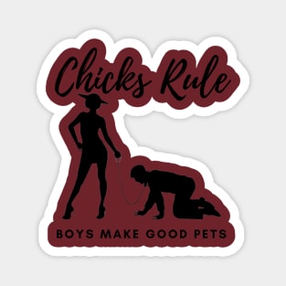 Chicks Rule Boys Make Good Pets Humor Female Empowerment Feminism Magnet