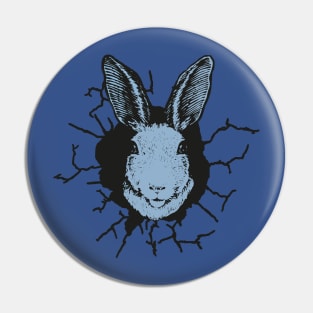 Rabbit cracked wall Pin