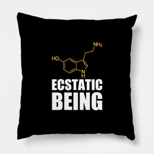 Ecstatic Beings Pillow