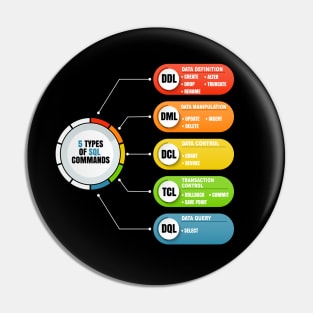 Cyber Security - Ethical Hacker - 5 Type of SQL Commands Pin