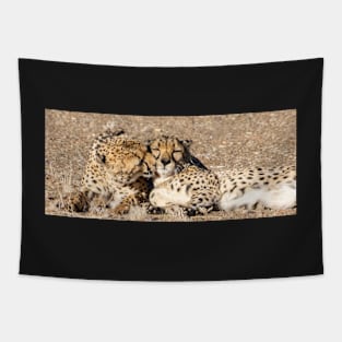 Two cheetah. Tapestry