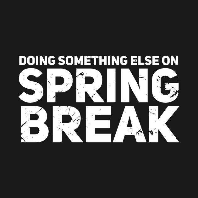 Doing Something Else On Spring Break by bluerockproducts