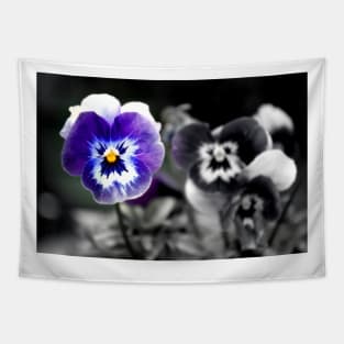 Blue Pansy Pansies Violas Summer Flowers Tapestry