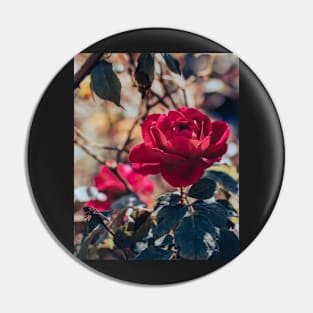 Blooming Rose Pin