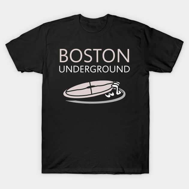 Discover Boston City Gift - Boston City Gift - T-Shirt