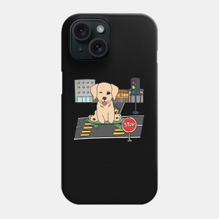 Funny golden retriever is on a skateboard Phone Case