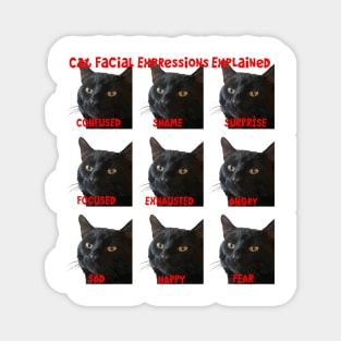 Cat Facial Expressions Explained Chart Cut Out Magnet