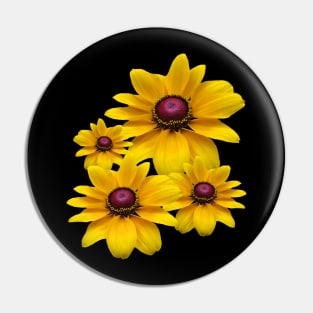 yellow blooming coneflowers, flowers, petals, floral, Pin