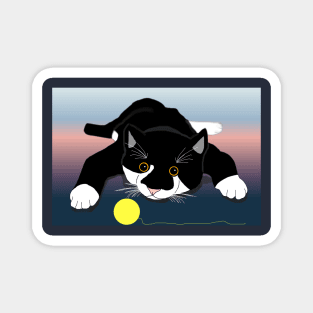 Cute Tuxedo cat chasing a ball  Copyright TeAnne Magnet