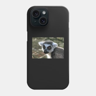 Ring Tailed Lemur Phone Case