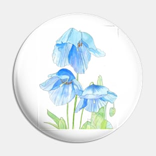 Blue Poppies watercolour painting Pin