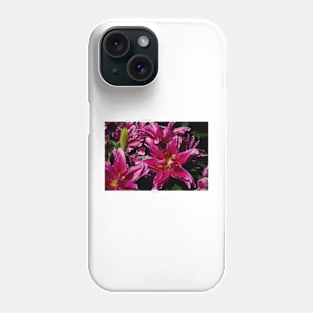 850_4506 Phone Case