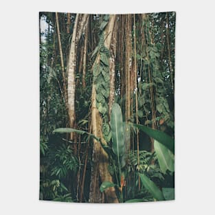 Jungle Serenity - Tropical Foliage Film Photo Art Tapestry