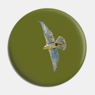 Gyr Falcon Pin