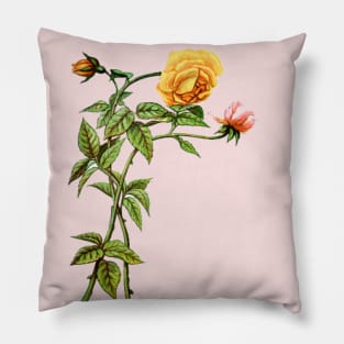 Yellow and pink roses Pillow