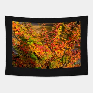 Orange red yellow green Berberis leaves background Tapestry