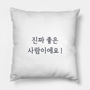 Hangeul He's a really good guy ! Pillow