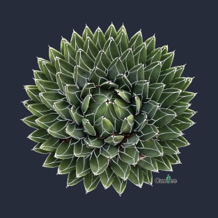 Agave Victoriae Reginae T-Shirt