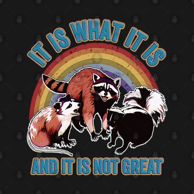 It Is What It Is And It Is Not Great Funny Raccoon Meme by masterpiecesai