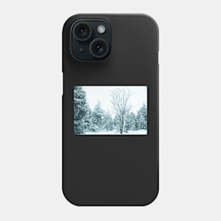 Snow and frost covered pine trees Phone Case