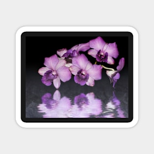 Purple Orchid Magnet