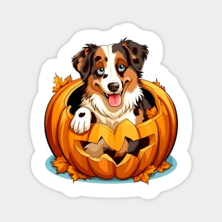 Australian Shepherd Dog inside Pumpkin #3 Magnet