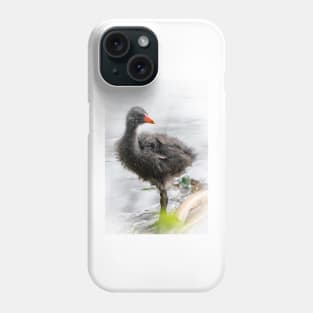 Dusky Moorhen Chick Phone Case