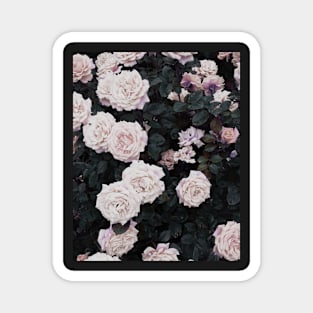 Roses print, Flowers print, Scandinavian print, Scandinavian, Trendy print, Styled, Scandinavian art, Modern art, Wall art, Print, Minimalistic, Modern Magnet