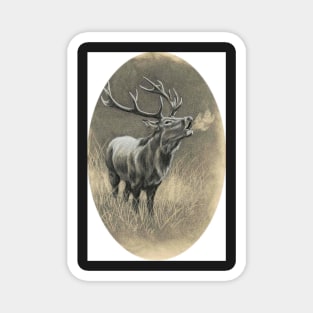 Red Deer Magnet