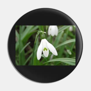 The March Snowdrop Pin