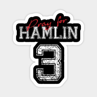 PRAY FOR HAMLIN Magnet