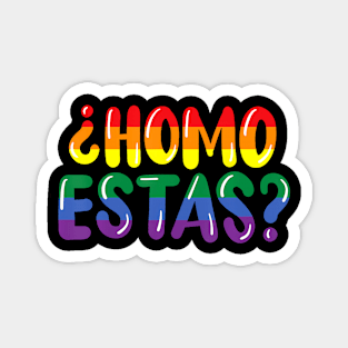 LGBTQ Flag Gay Pride Month Homo Estas Spanish Mexican Magnet