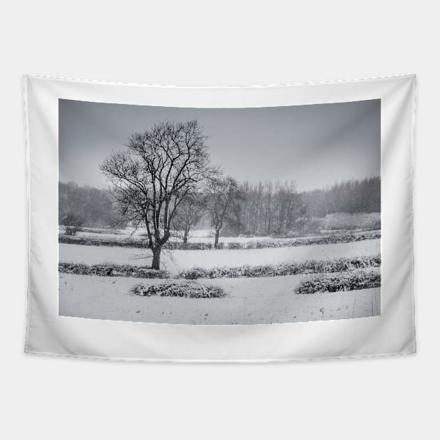 Clifton-Upon-Dunsmore Snow scene Tapestry by bywhacky