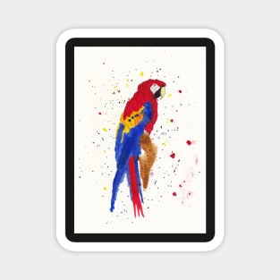 Red and Blue Macaw 1 Magnet