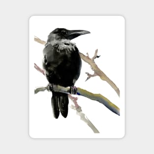 Crow Magnet