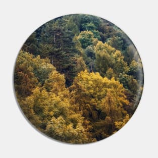 autumn trees texture Pin