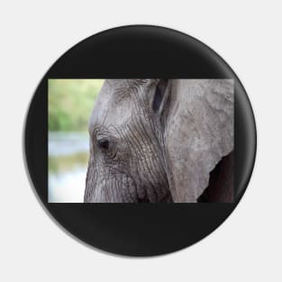 Portrait, African Elephant, Serengeti National Park, Tanzania. Pin