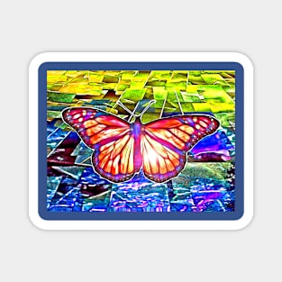 Monarch Butterfly in Colors Magnet