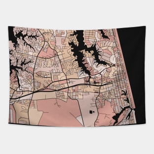 Virginia Beach Map Pattern in Soft Pink Pastels Tapestry