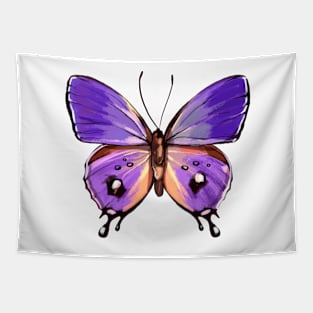 Beautiful butterfly effect Tapestry